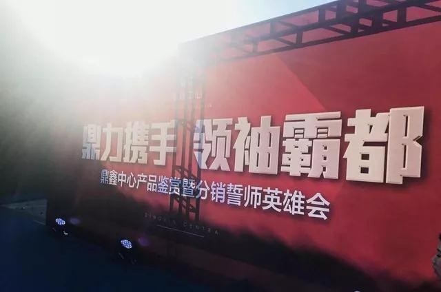 鼎力攜手，領(lǐng)袖霸都！合肥鼎鑫中心產(chǎn)品鑒賞暨分銷(xiāo)誓師英雄會(huì)圓滿落幕！