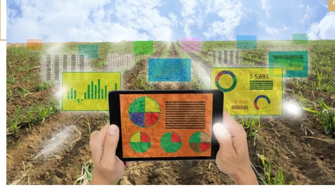 馬云說(shuō)“致富未來(lái)在農(nóng)村”,那么農(nóng)村未來(lái)的致富人群是哪類人？