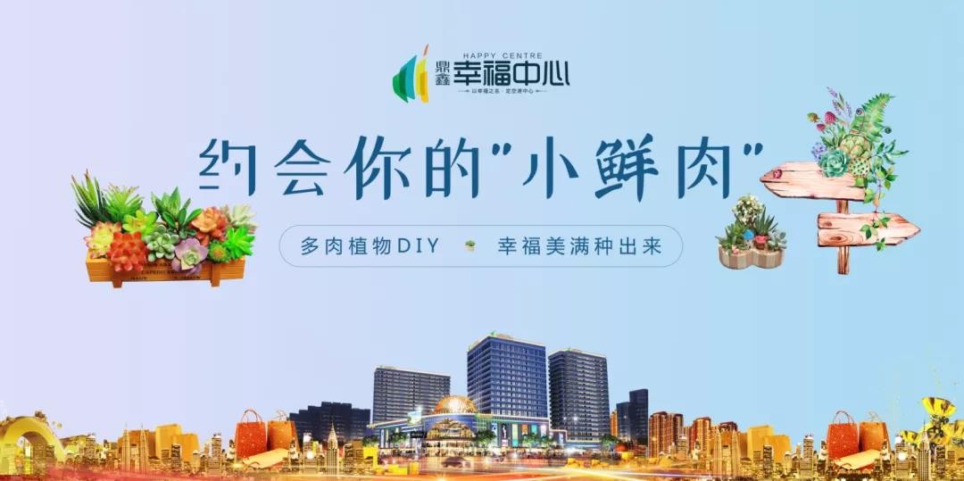 約會你的“小鮮肉” 多肉植物DIY，幸福美滿種出來