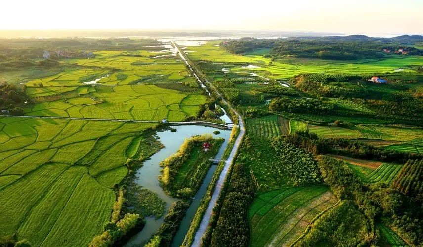 鄉(xiāng)村振興背景下，有機農(nóng)業(yè)3.0時代的思考