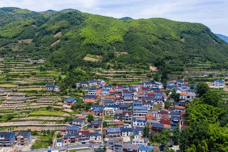 老鄉(xiāng)！別錯(cuò)過(guò)今年這些惠農(nóng)好政策