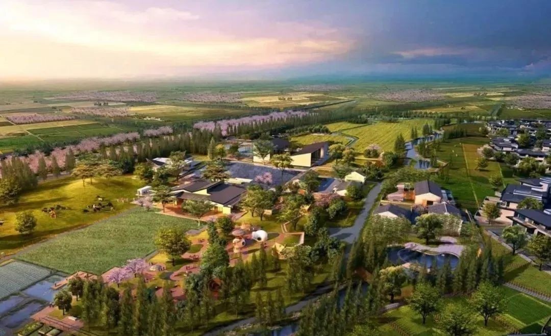 全文！鄉(xiāng)村建設(shè)行動(dòng)實(shí)施方案