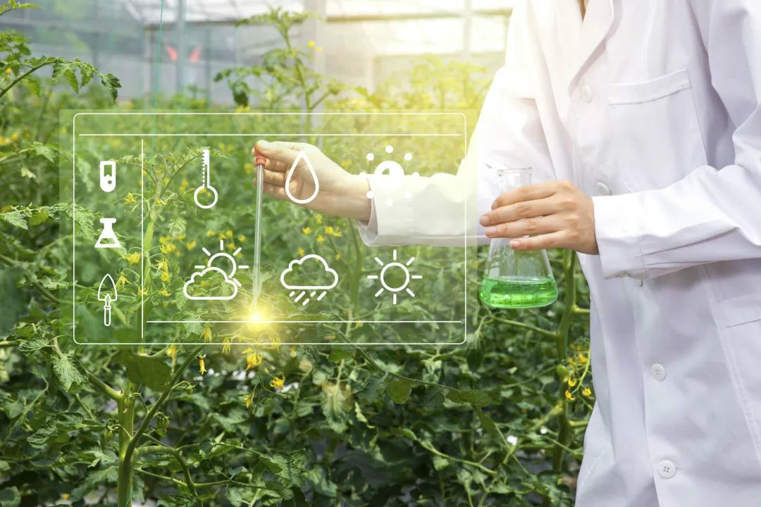 科普 | 農(nóng)業(yè)科技篇，現(xiàn)代農(nóng)業(yè)知多少