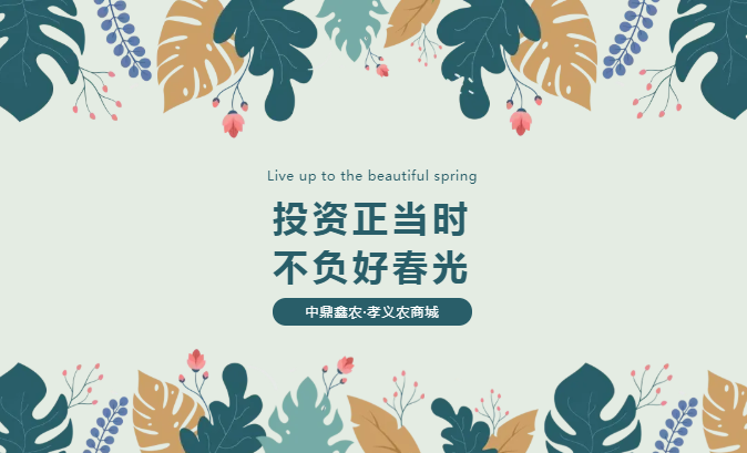 孝義唯一大產(chǎn)權(quán)的農(nóng)批商鋪，投資有保障！